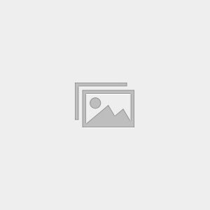 IELTS Writing Test